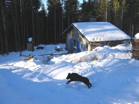 Chez Stphane - Une ferme sur les "hauts" - Photo F.GUYOT